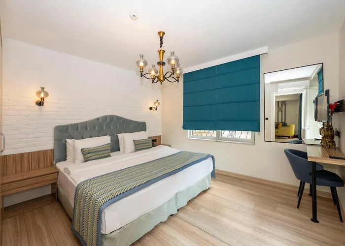 Hotel The Marions Special Category Taksim 3*