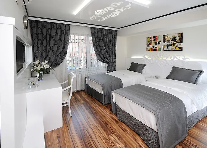 Hotel The Marions Special Category Taksim