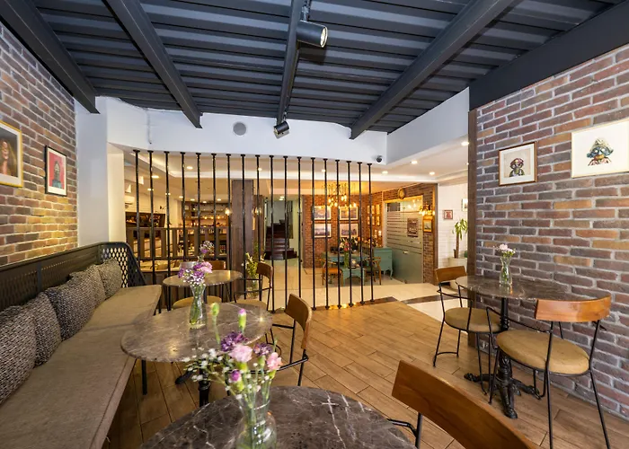 The Marions Special Category Taksim Hotel Stambuł